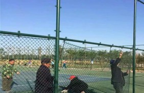 网球场围栏网安全性和耐用性的完美结合（安全强度和美观外观）